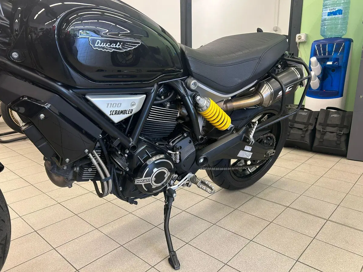 Ducati Scrambler 1100 (2018 - 20) (7)