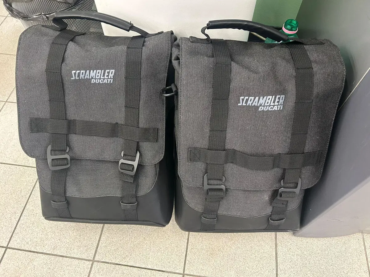Ducati Scrambler 1100 (2018 - 20) (8)