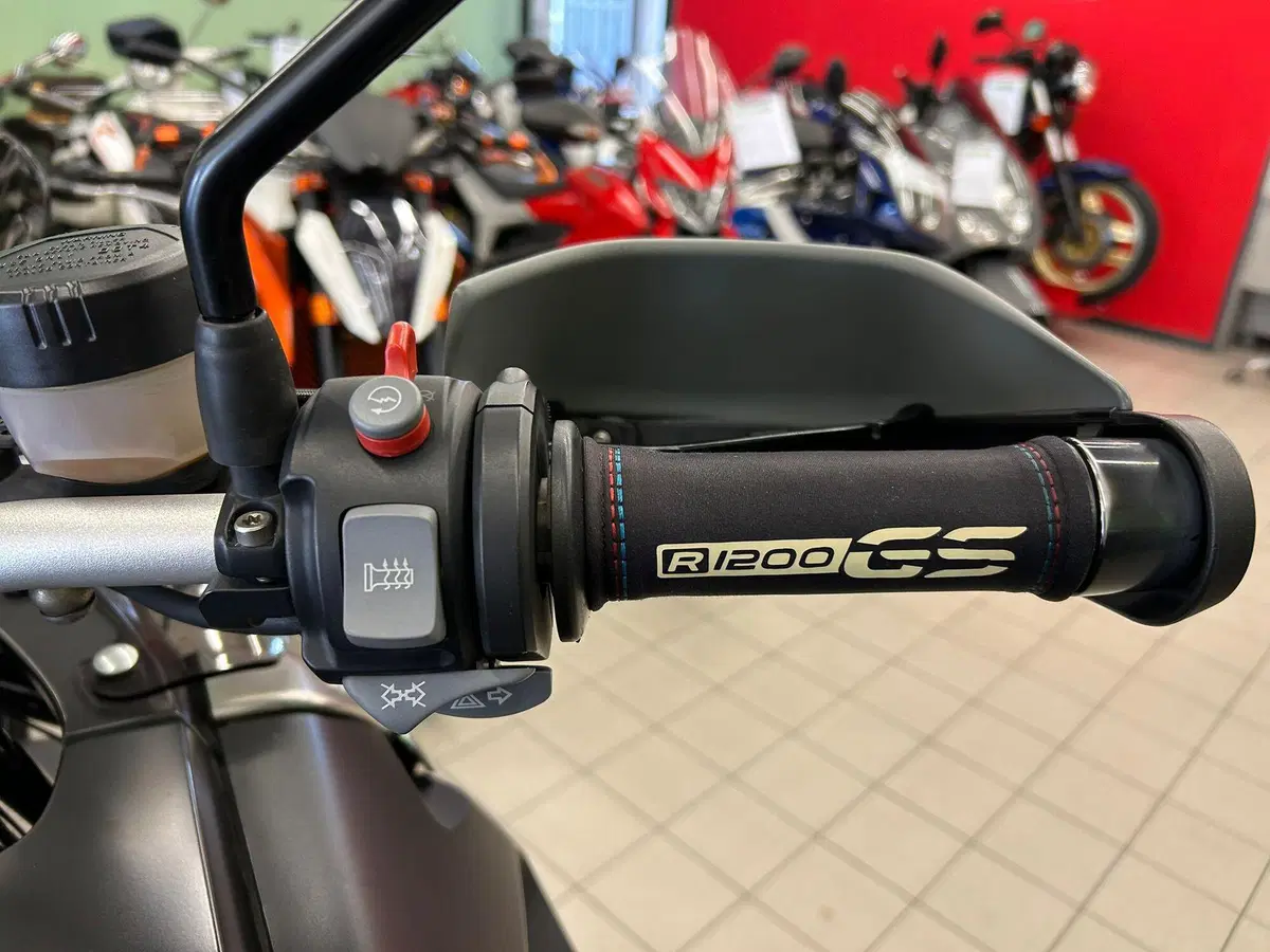 Bmw R 1200 GS (2008 - 09) (9)