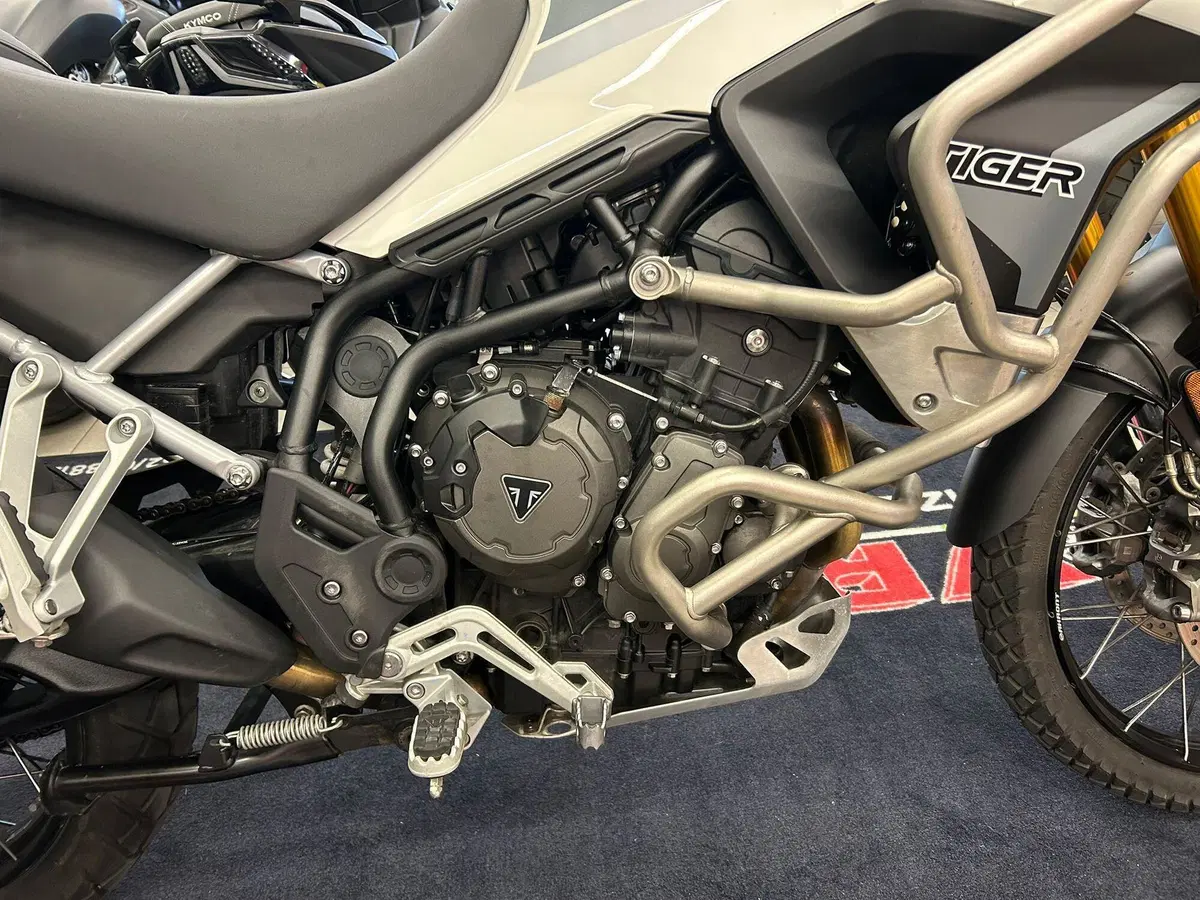 Triumph Tiger 900 Rally Pro (2020 - 23) (12)