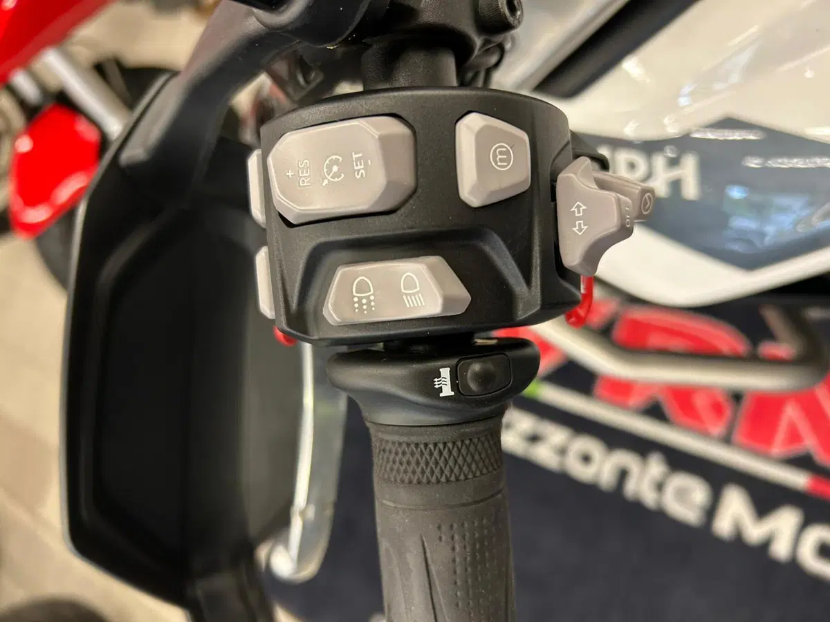 Triumph Tiger 900 Rally Pro (2020 - 23) (16)