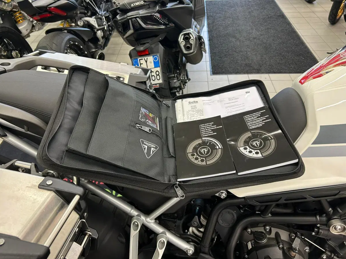Triumph Tiger 900 Rally Pro (2020 - 23) (18)