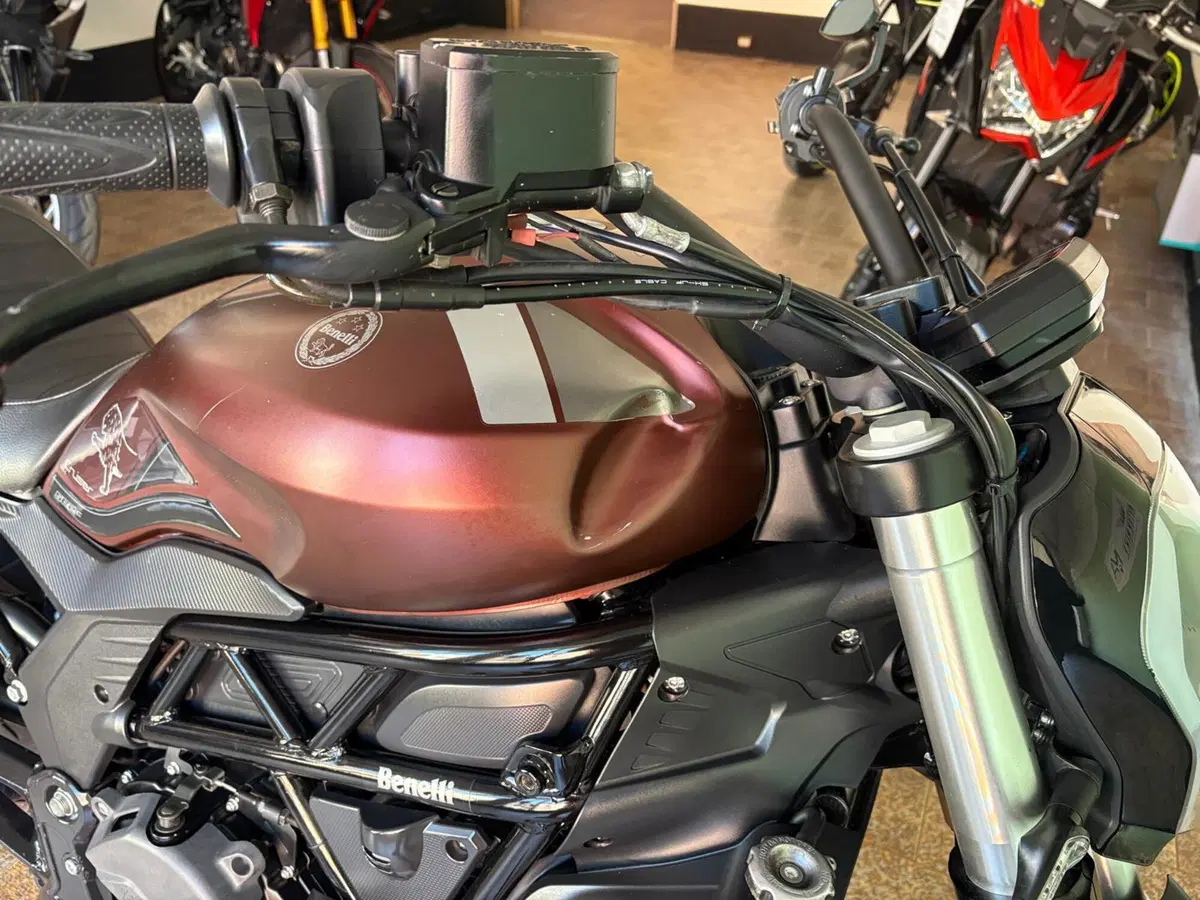 Benelli 502 C (2019 - 20) (10)