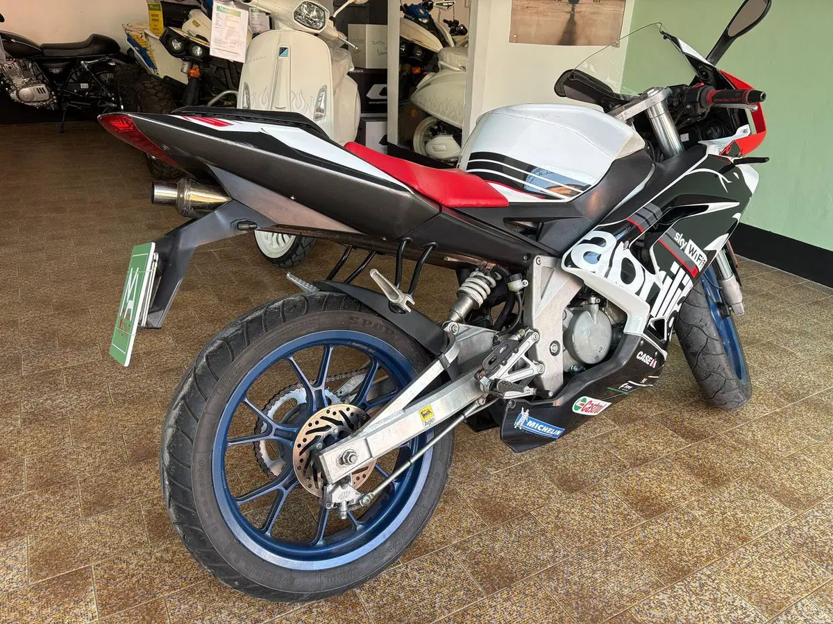 Aprilia RS 50 (2006 - 13) (7)