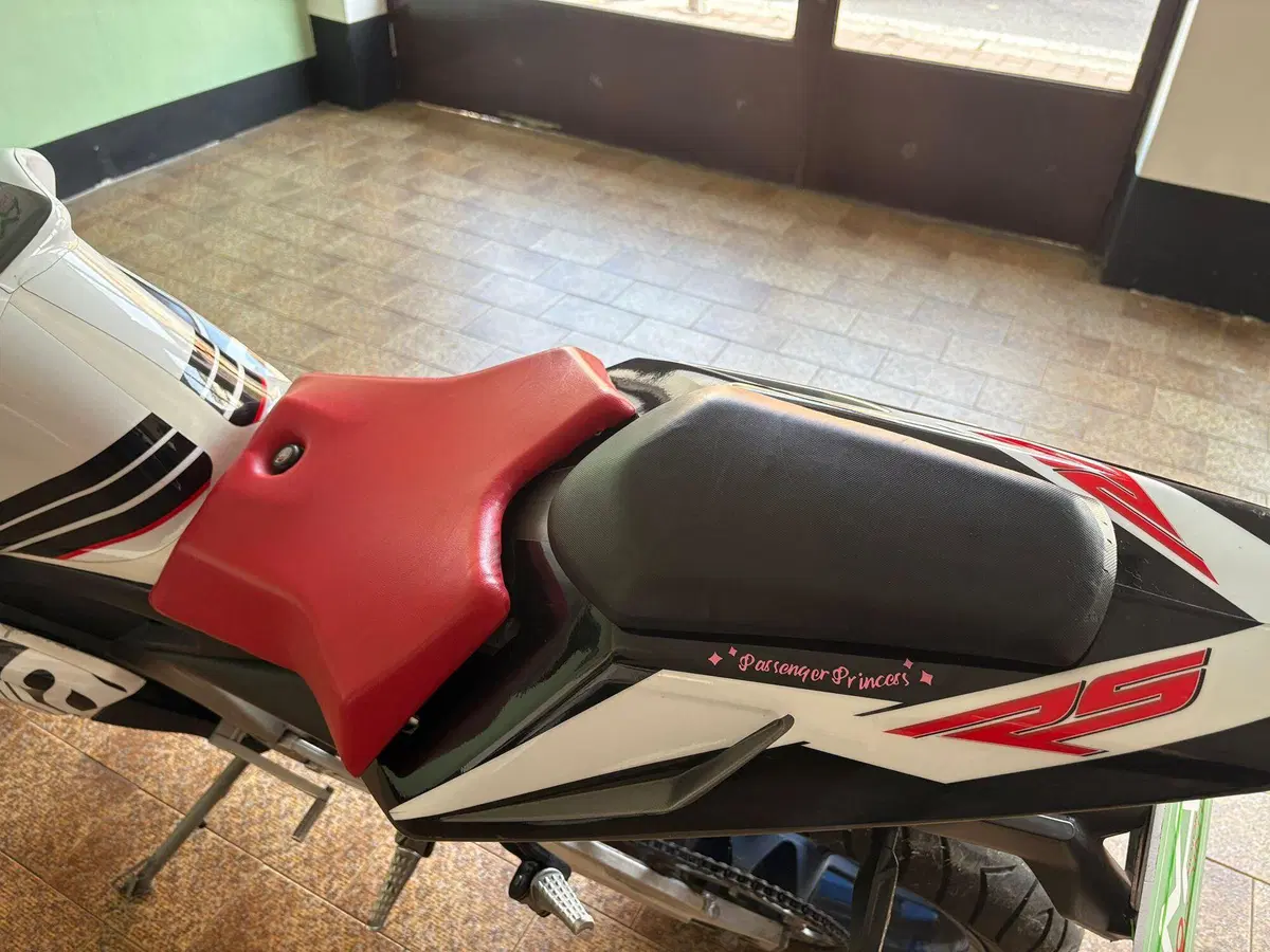 Aprilia RS 50 (2006 - 13) (9)