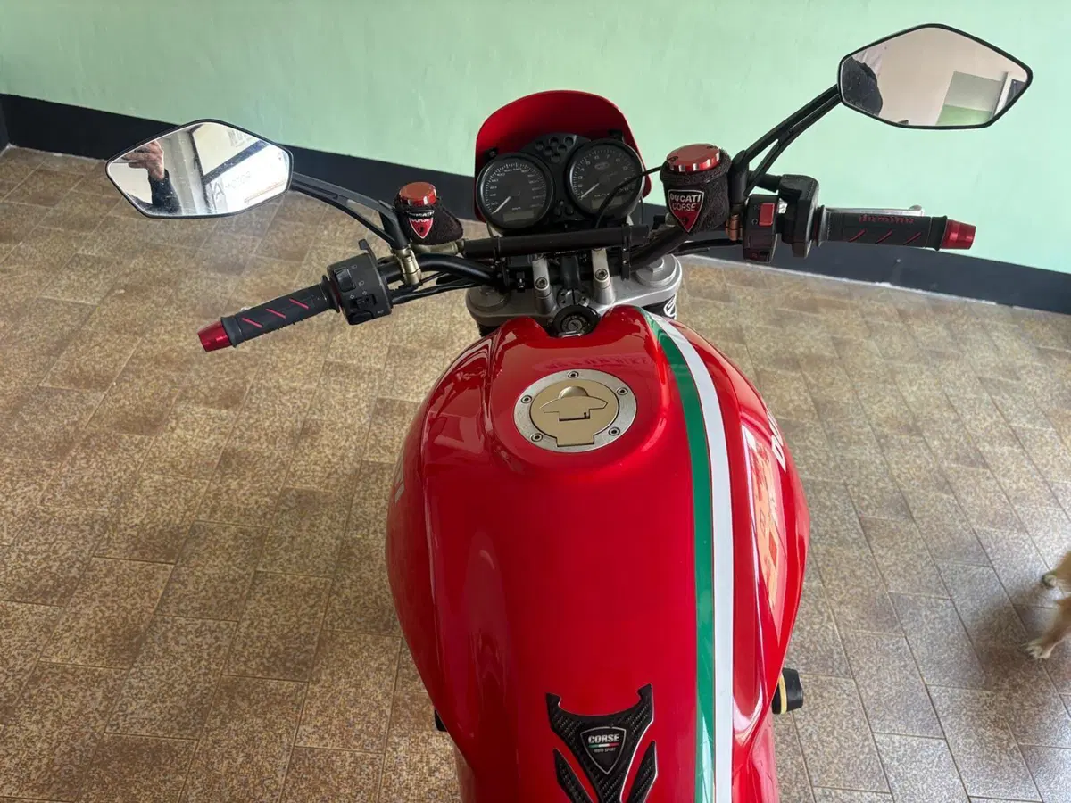 Ducati Monster 800 (2003 - 05) (13)