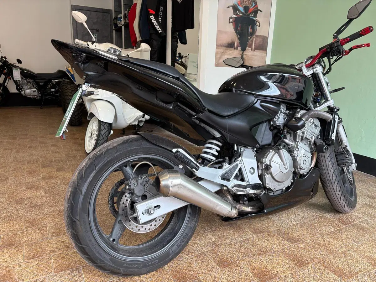 Honda Hornet 600 (2005 - 06) (7)