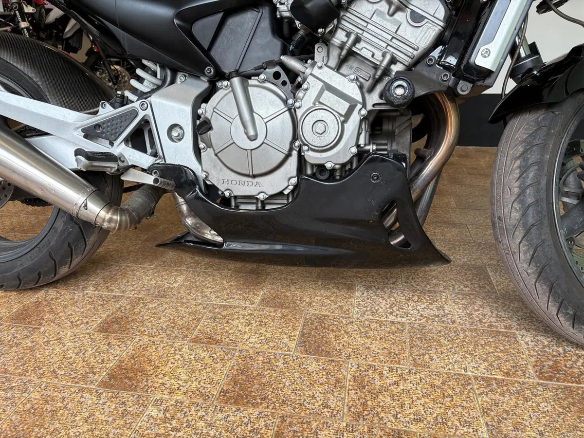 Honda Hornet 600 (2005 - 06) (11)