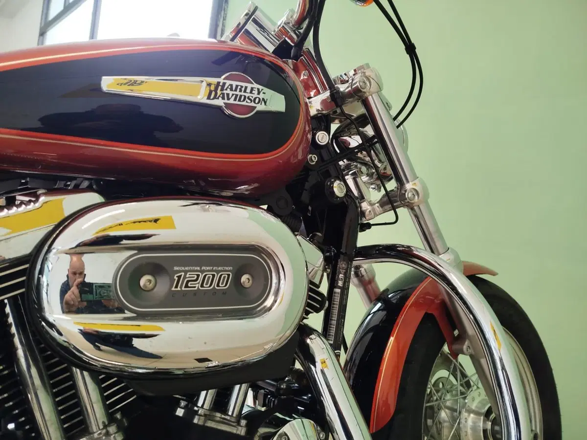 Harley-Davidson 1200 Custom (2007 - 13) - XL 1200C (6)