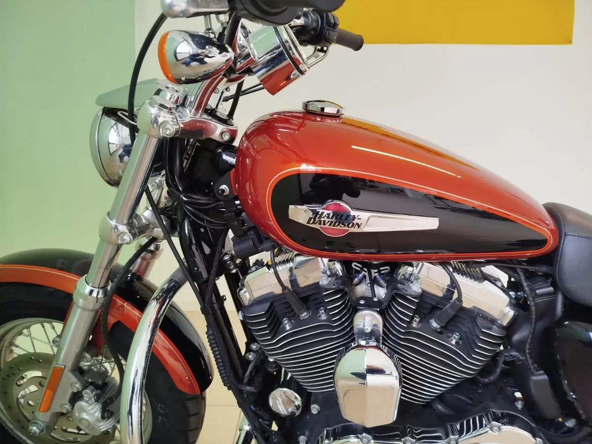 Harley-Davidson 1200 Custom (2007 - 13) - XL 1200C (7)