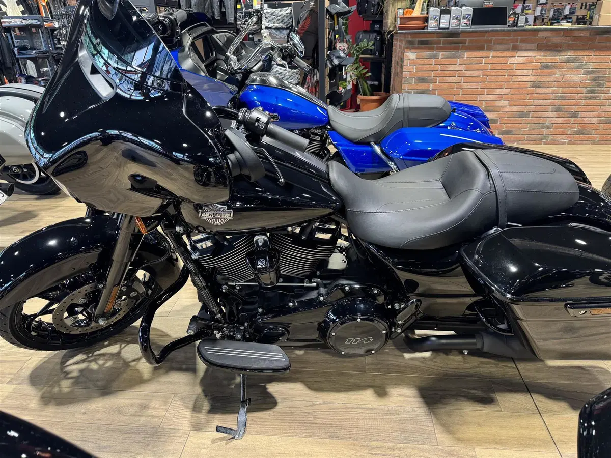 Harley-Davidson Street Glide Special (2021 - 23) (3)