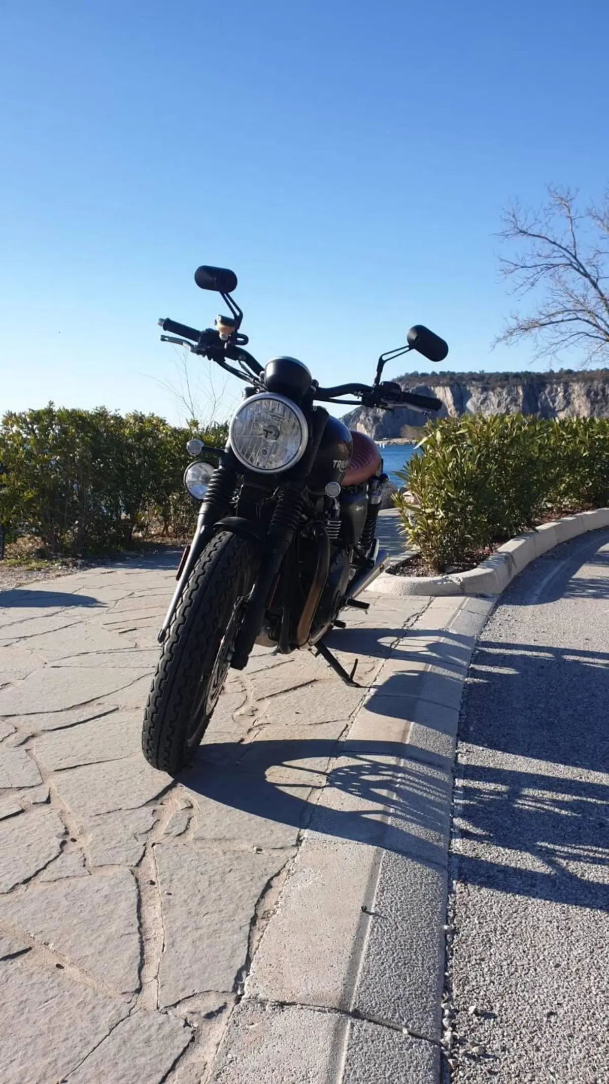 Triumph Street Twin 900 (2016) (12)