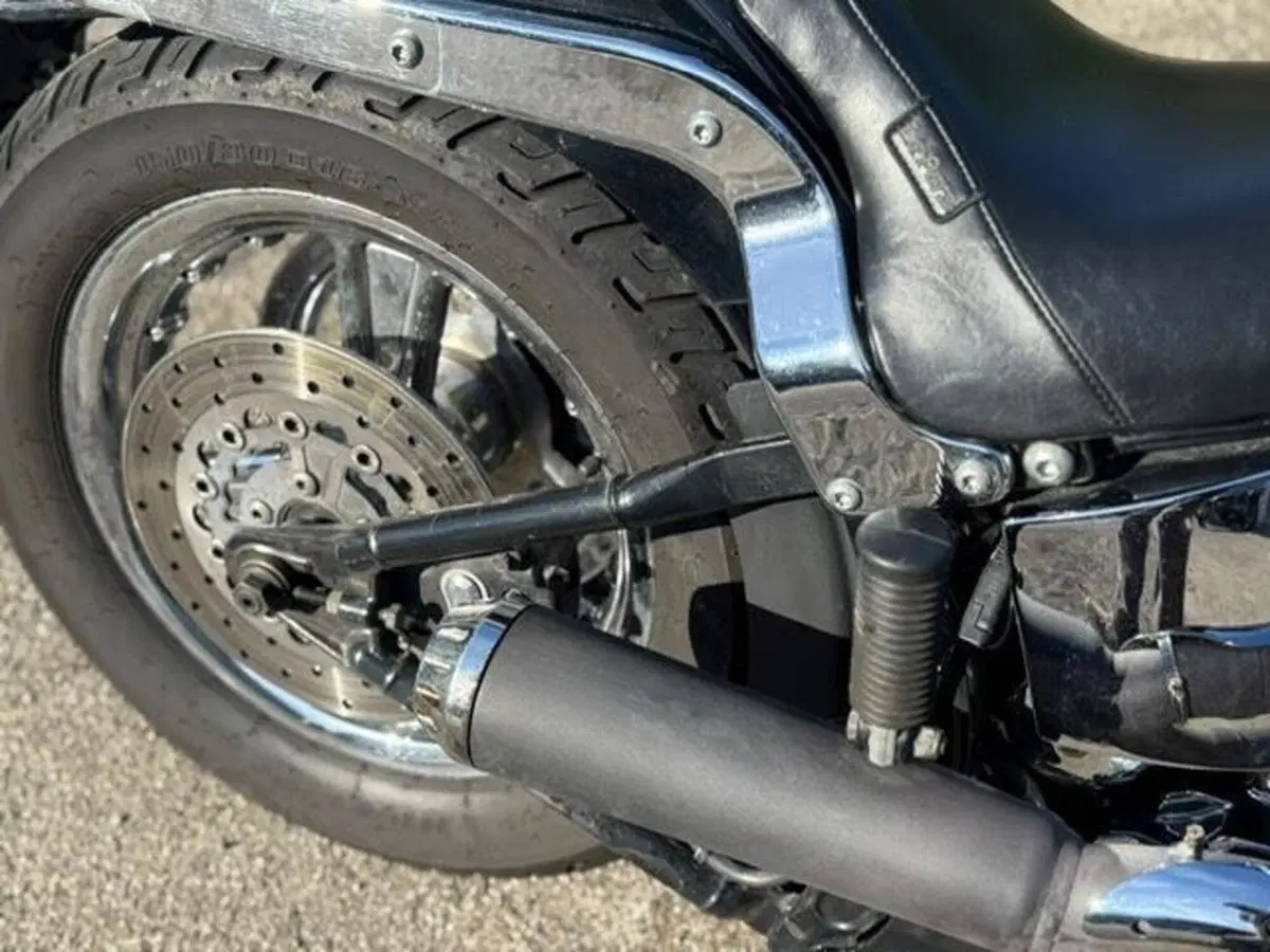 Harley-Davidson 1450 Springer (2001 - 03) - FXSTS (5)