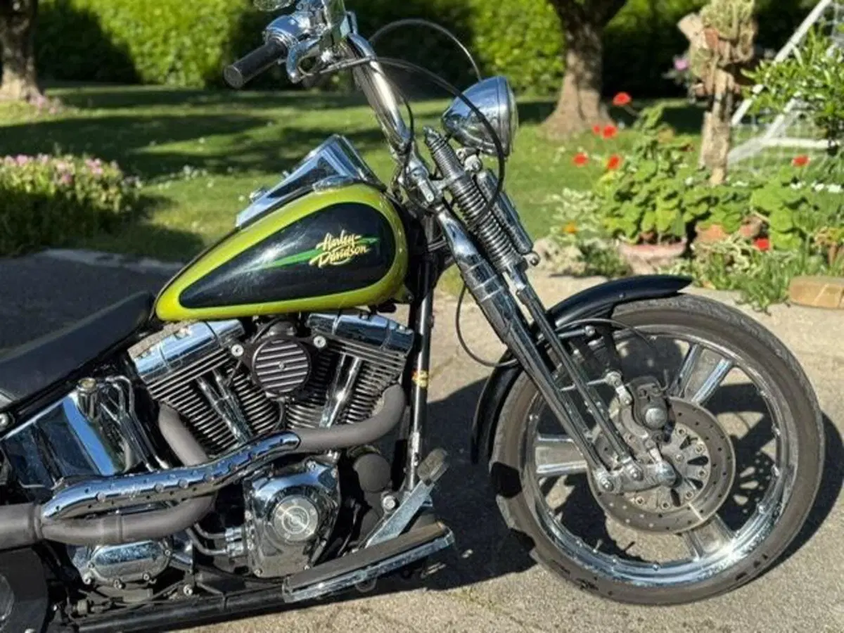 Harley-Davidson 1450 Springer (2001 - 03) - FXSTS (6)