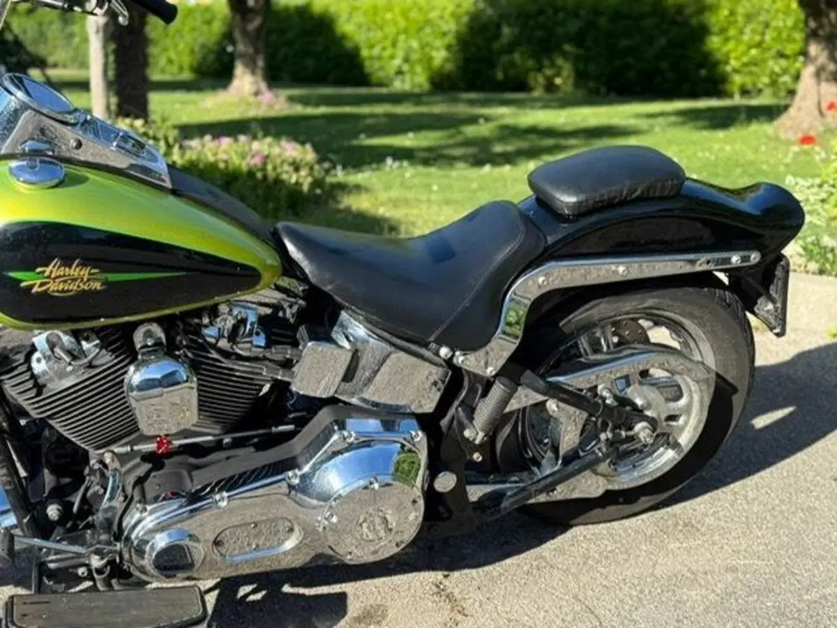 Harley-Davidson 1450 Springer (2001 - 03) - FXSTS (7)