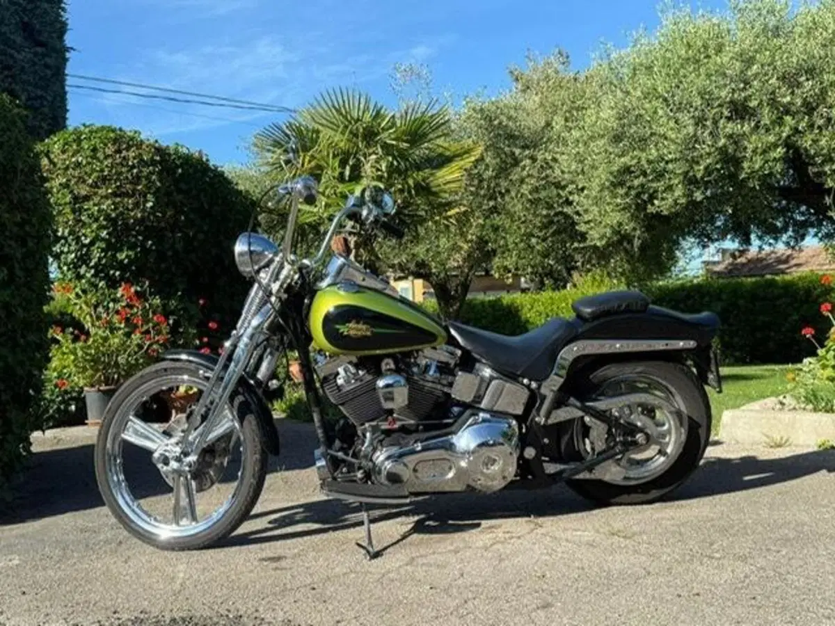 Harley-Davidson 1450 Springer (2001 - 03) - FXSTS (8)