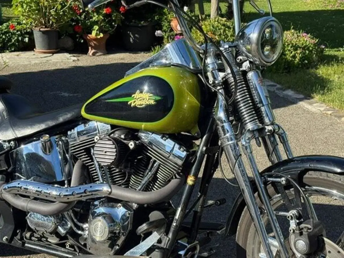 Harley-Davidson 1450 Springer (2001 - 03) - FXSTS (10)