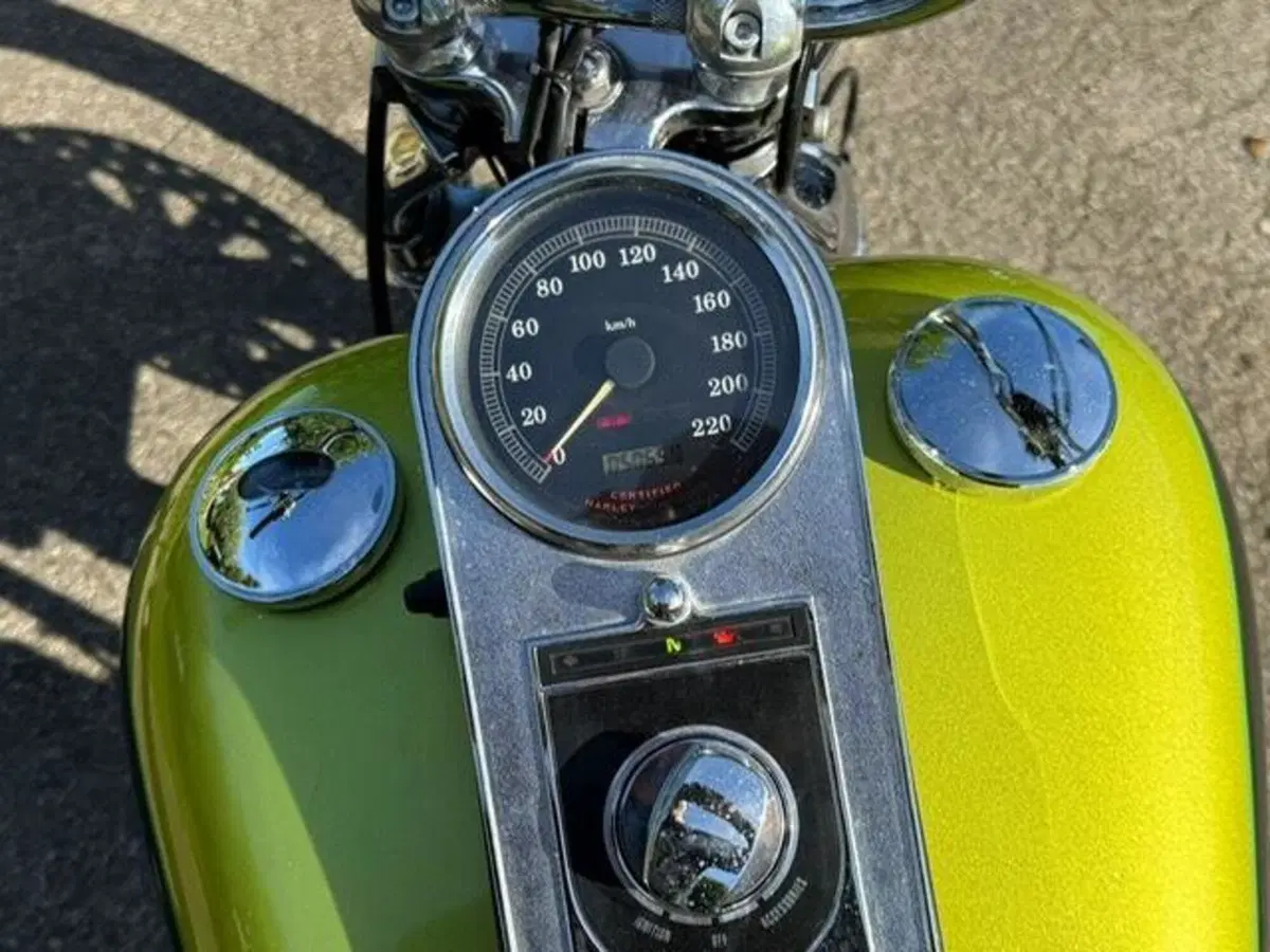 Harley-Davidson 1450 Springer (2001 - 03) - FXSTS (11)