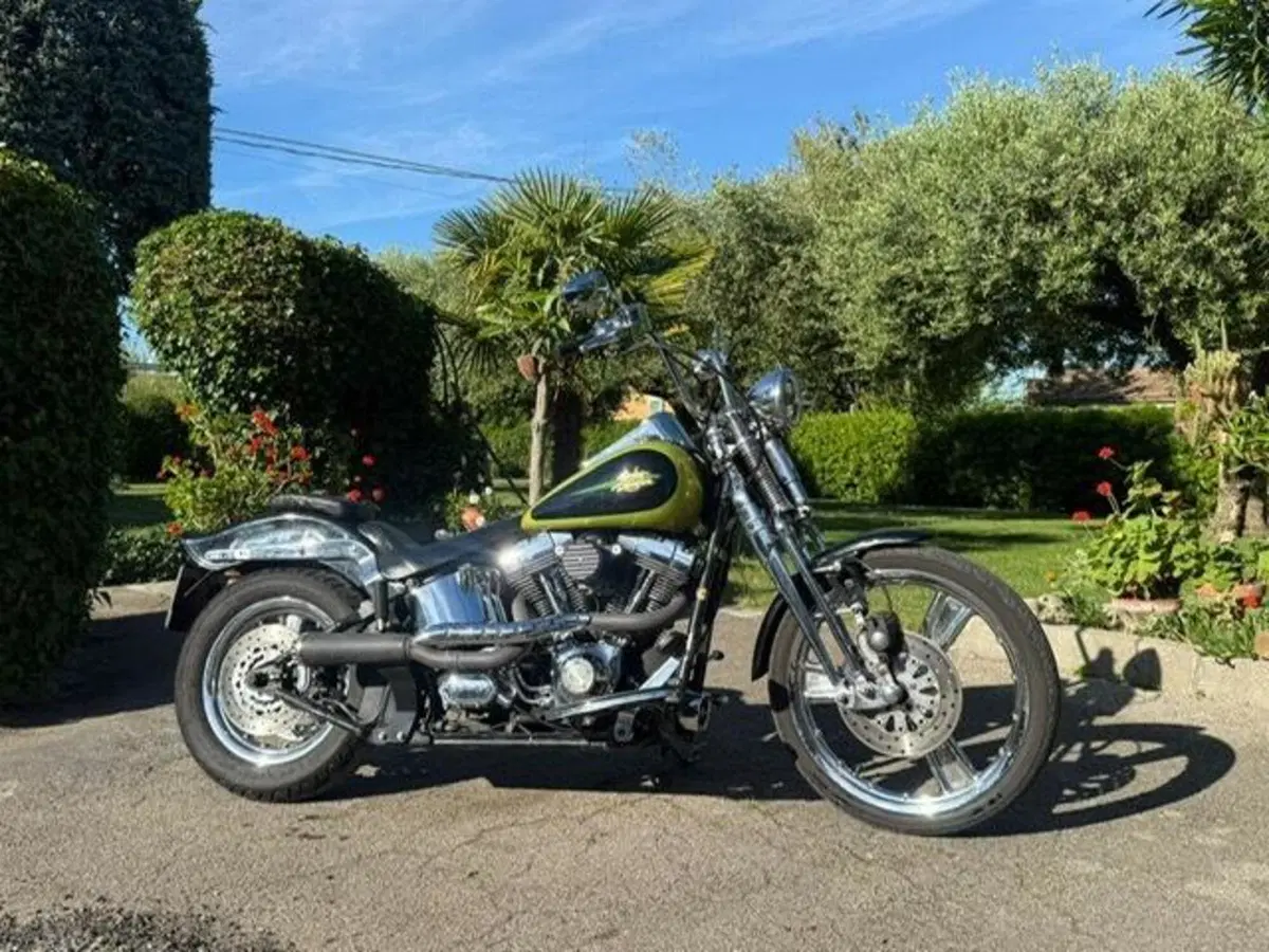 Harley-Davidson 1450 Springer (2001 - 03) - FXSTS