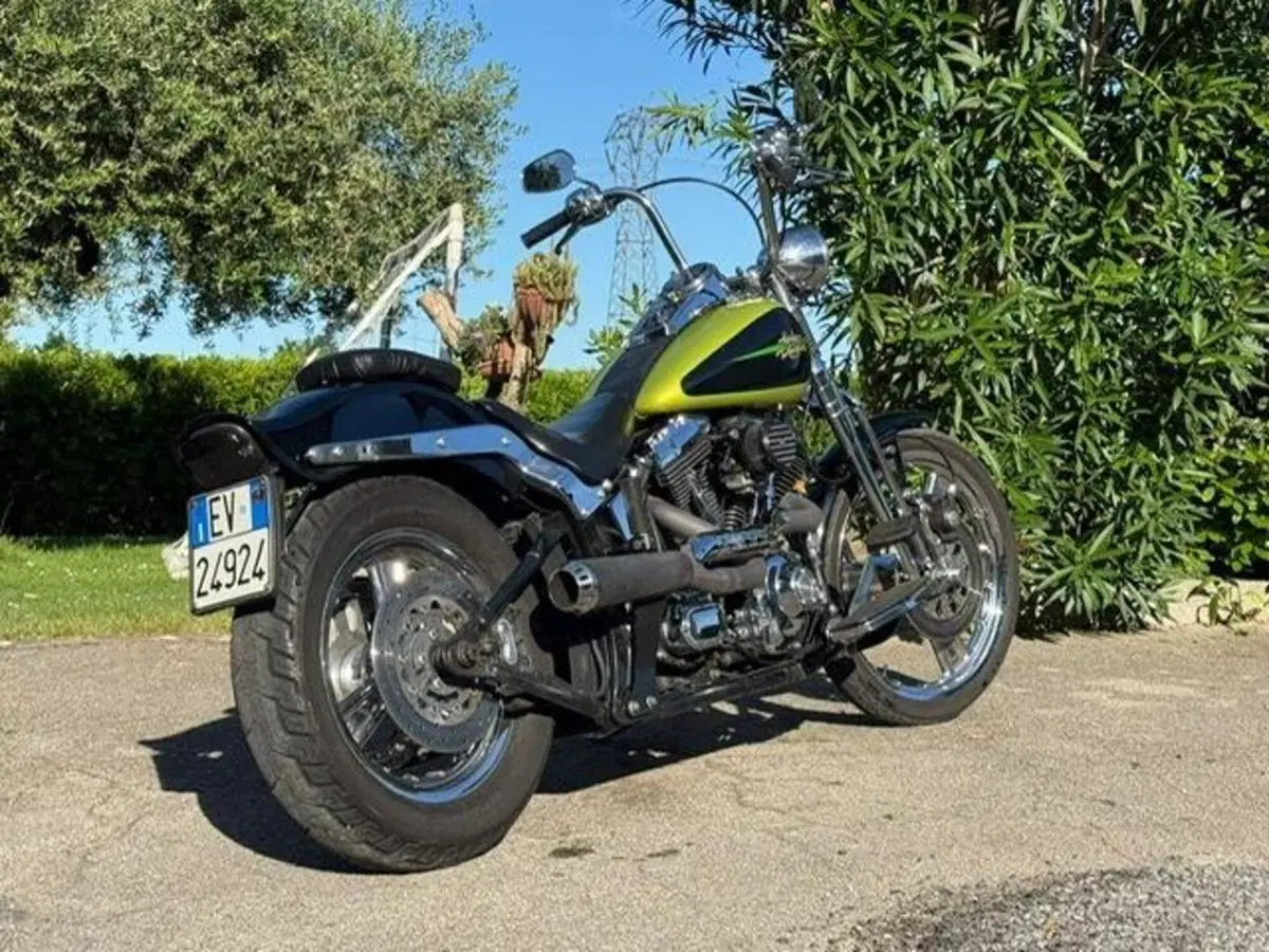 Harley-Davidson 1450 Springer (2001 - 03) - FXSTS (12)