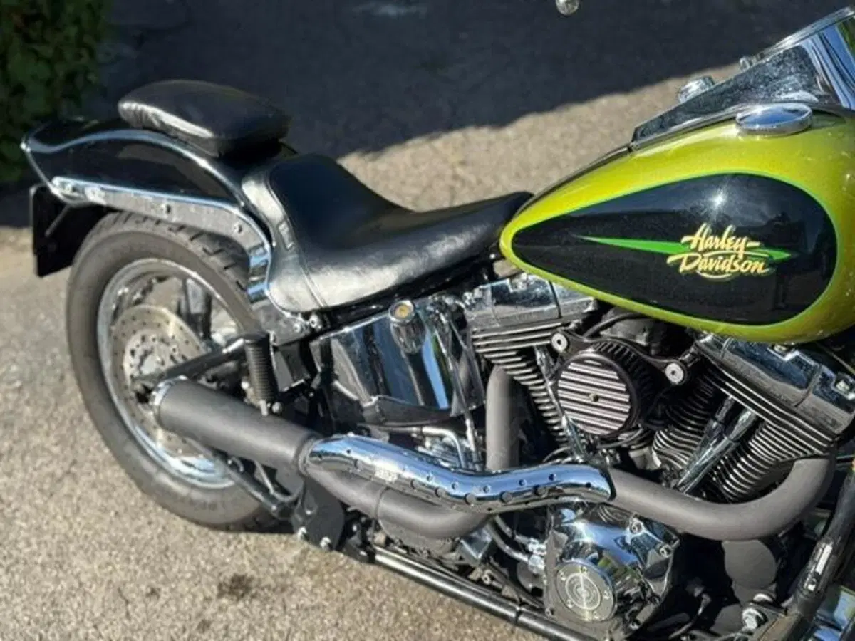 Harley-Davidson 1450 Springer (2001 - 03) - FXSTS (14)