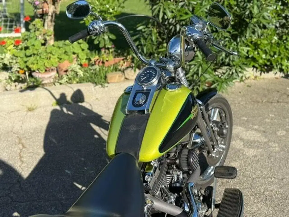 Harley-Davidson 1450 Springer (2001 - 03) - FXSTS (15)