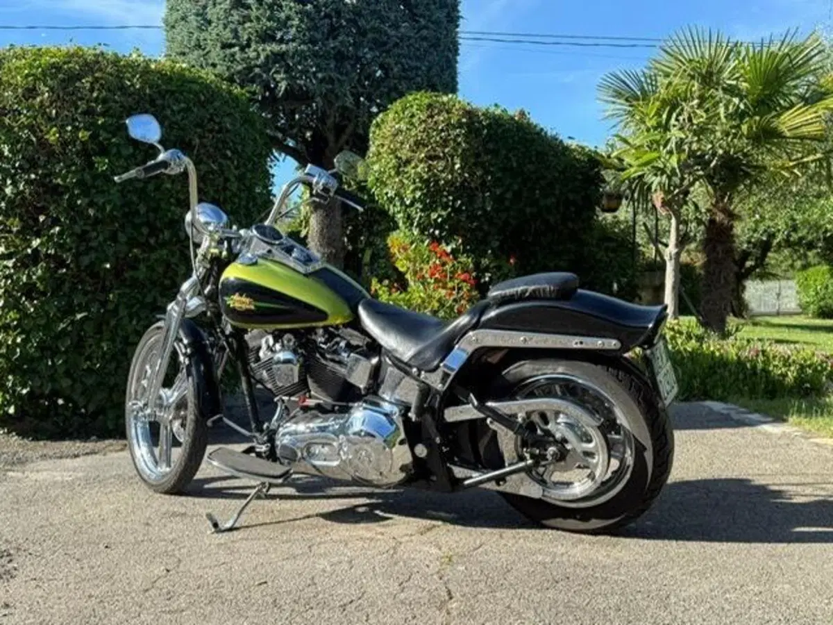 Harley-Davidson 1450 Springer (2001 - 03) - FXSTS (16)
