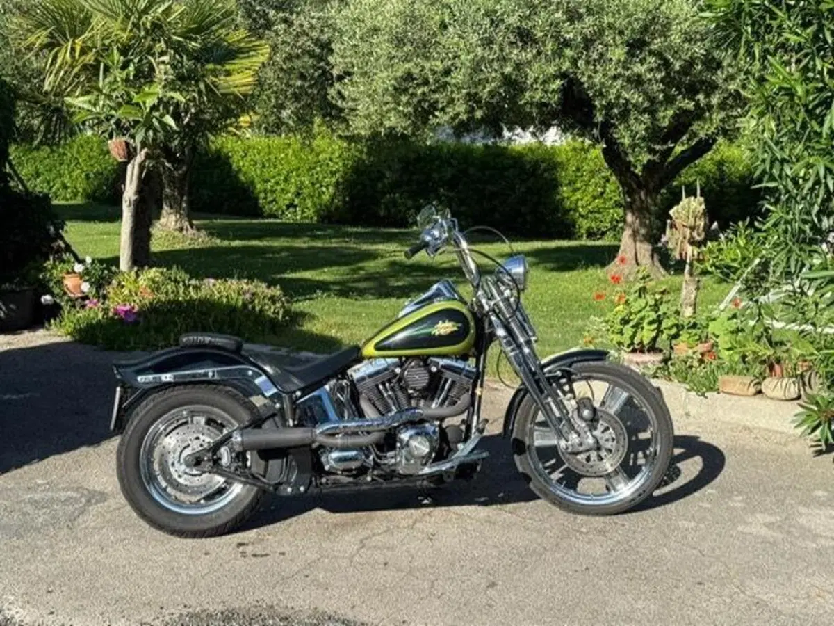 Harley-Davidson 1450 Springer (2001 - 03) - FXSTS (17)