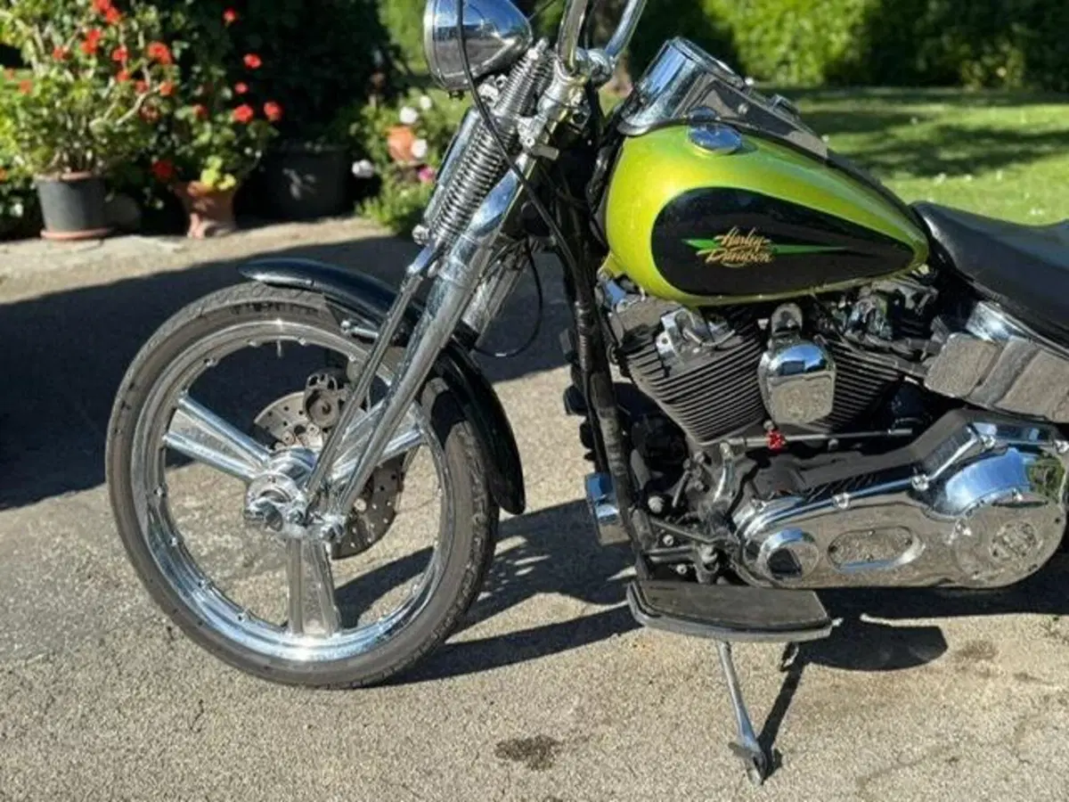 Harley-Davidson 1450 Springer (2001 - 03) - FXSTS (18)