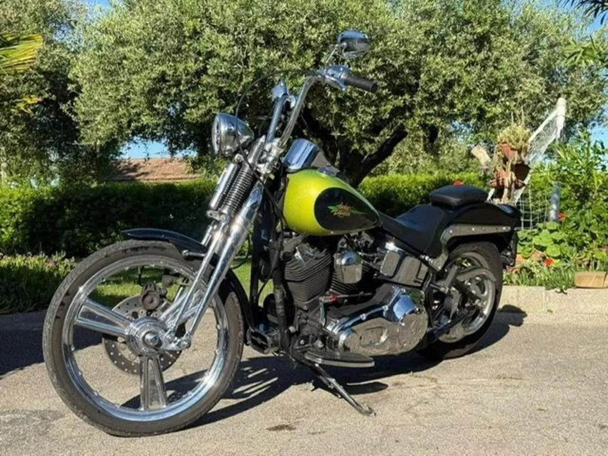 Harley-Davidson 1450 Springer (2001 - 03) - FXSTS (19)