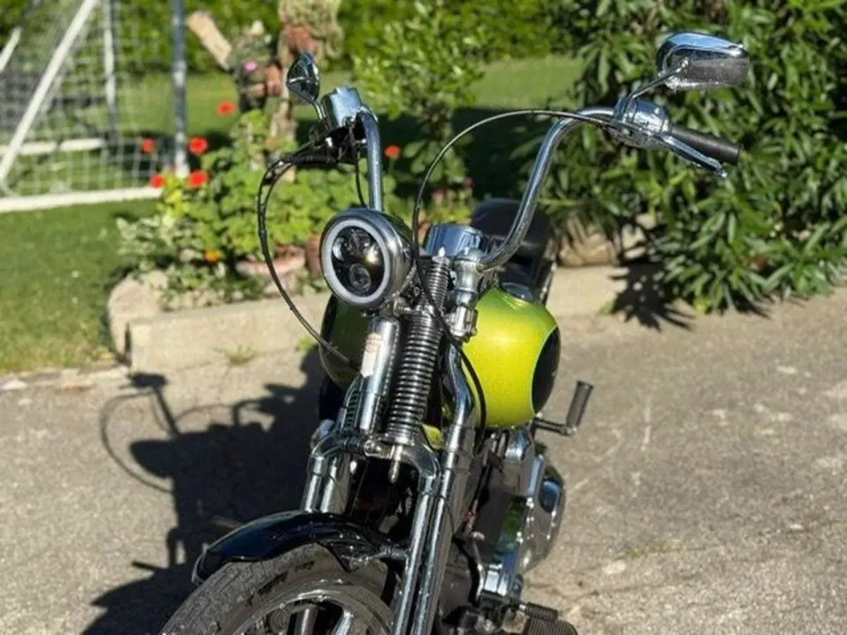 Harley-Davidson 1450 Springer (2001 - 03) - FXSTS (20)