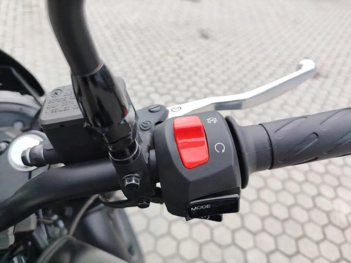 Moto Guzzi V7 Stone (2021 - 24) (9)