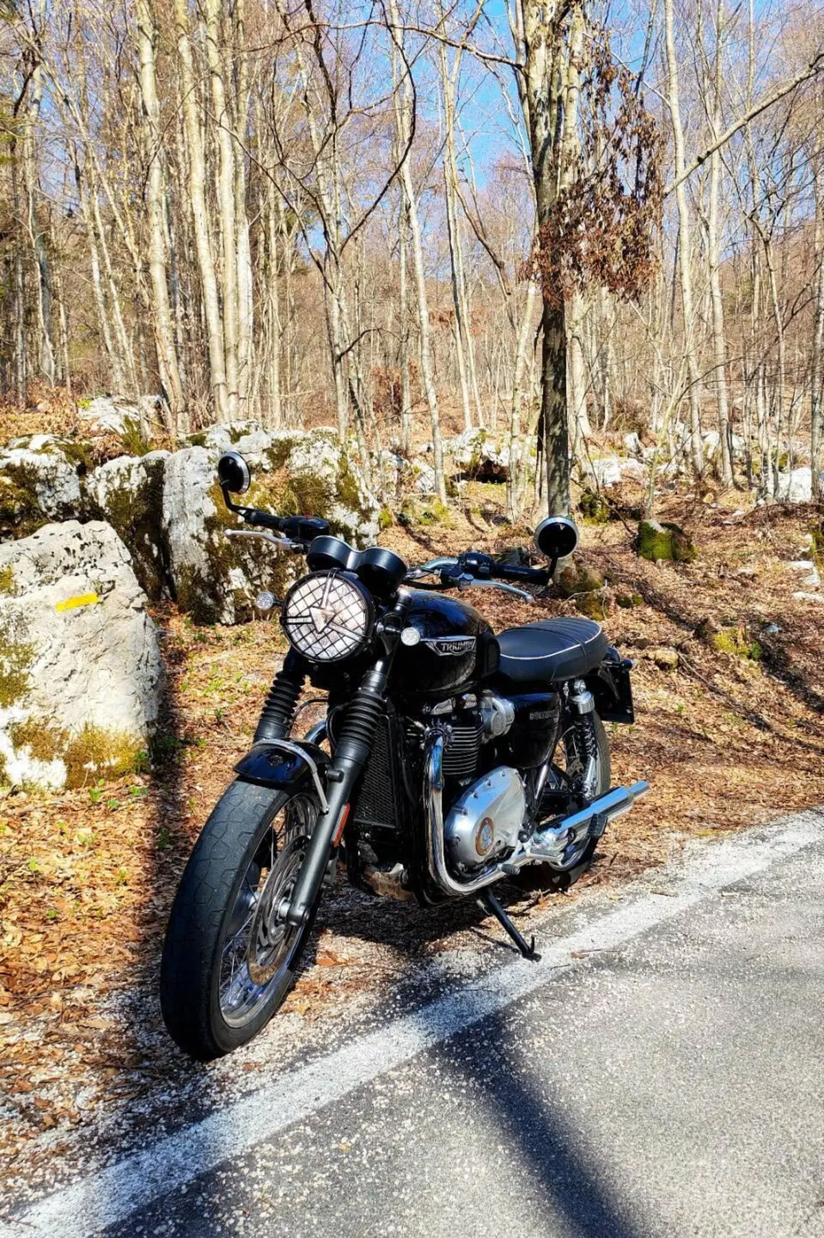 Triumph Bonneville T120 (2016 - 20)