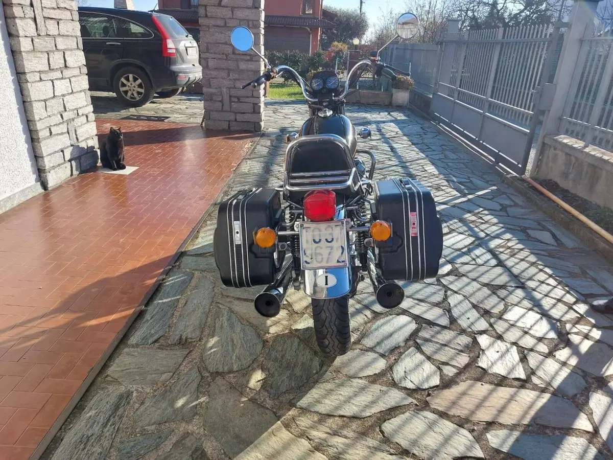 Moto Guzzi V 65 C (1985 - 88) (5)