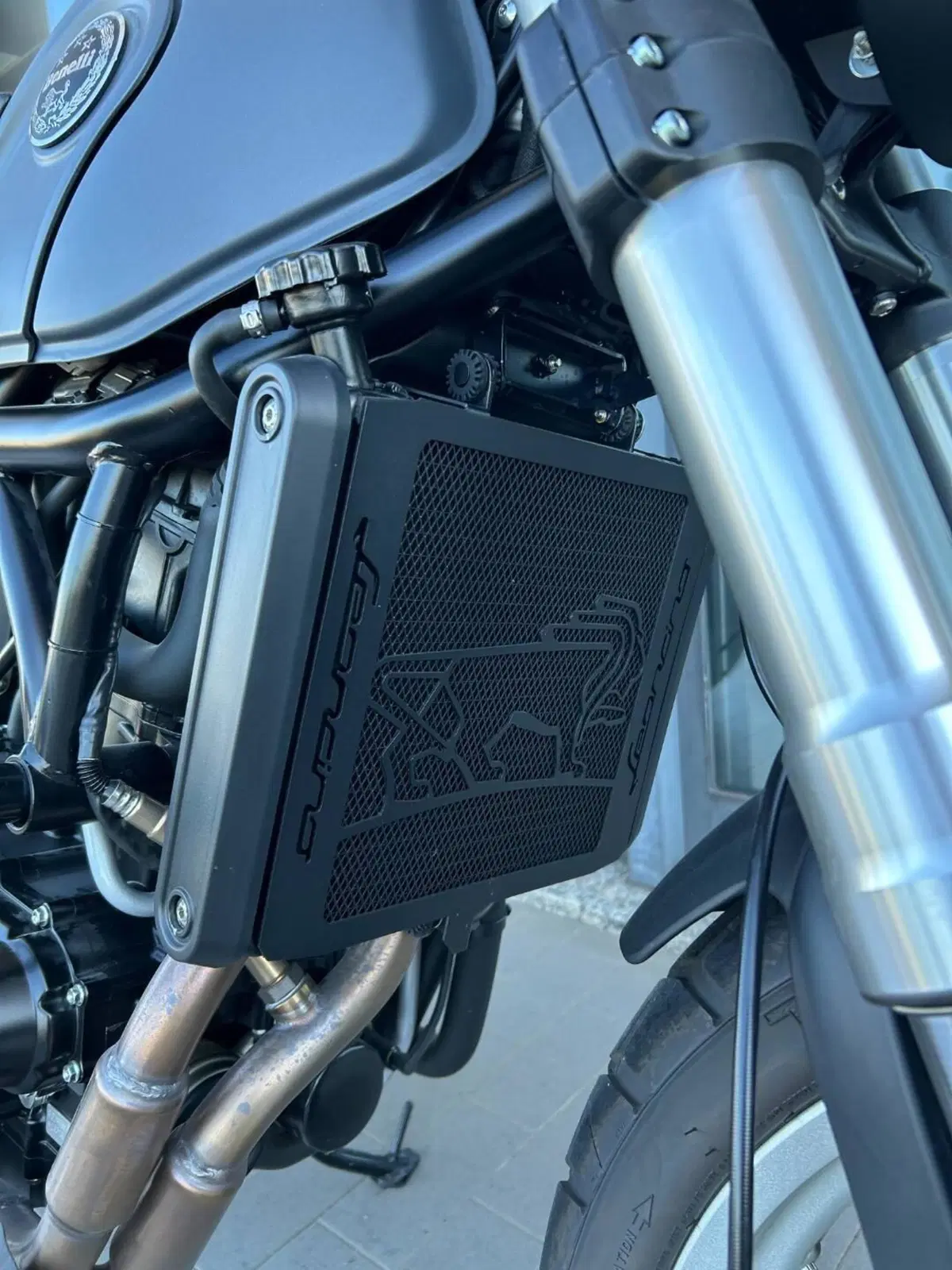 Benelli Leoncino 500 Trail (2021 - 26) (9)