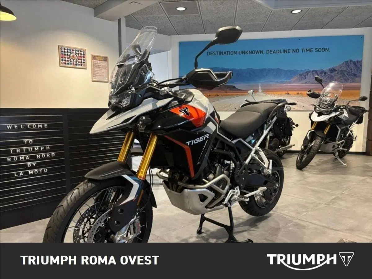 Triumph Tiger 900 Rally Pro (2024 - 26) (3)