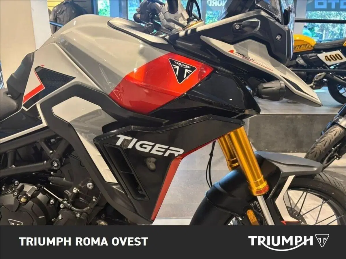 Triumph Tiger 900 Rally Pro (2024 - 26) (9)