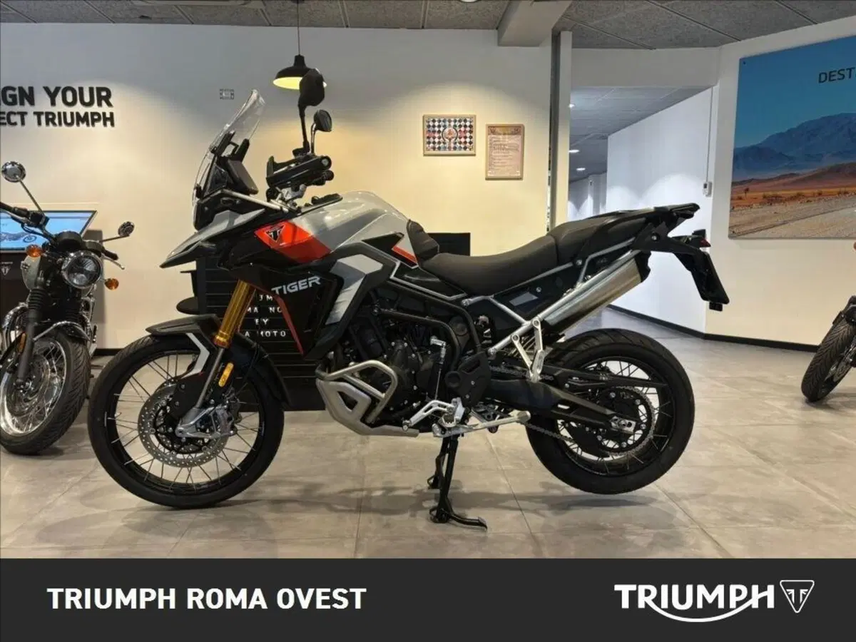 Triumph Tiger 900 Rally Pro (2024 - 26) (7)