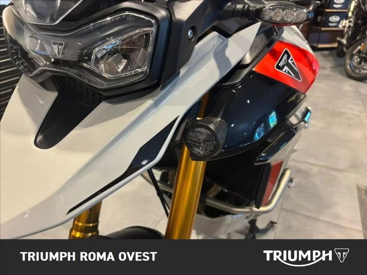 Triumph Tiger 900 Rally Pro (2024 - 26) (11)