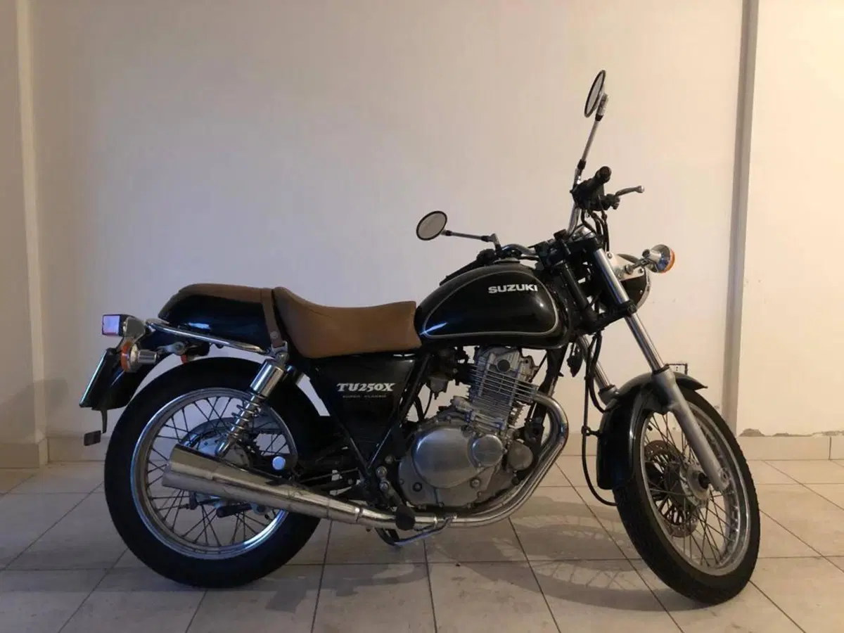 Suzuki TU 250 X (1997 - 03) (5)