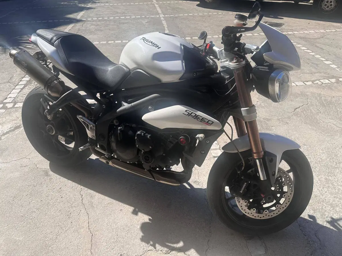 Triumph Speed Triple 1050 (2011 - 13) (3)