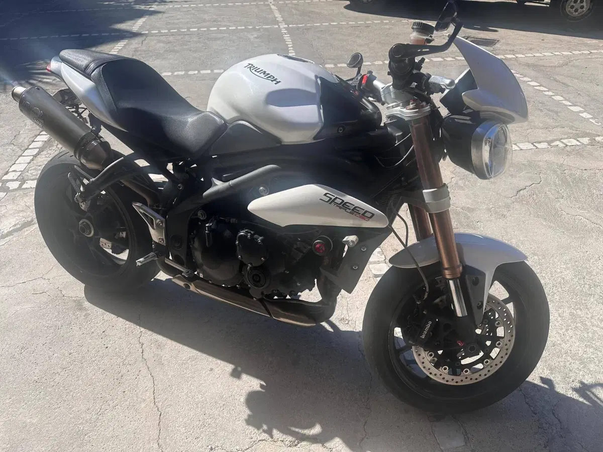 Triumph Speed Triple 1050 (2011 - 13)