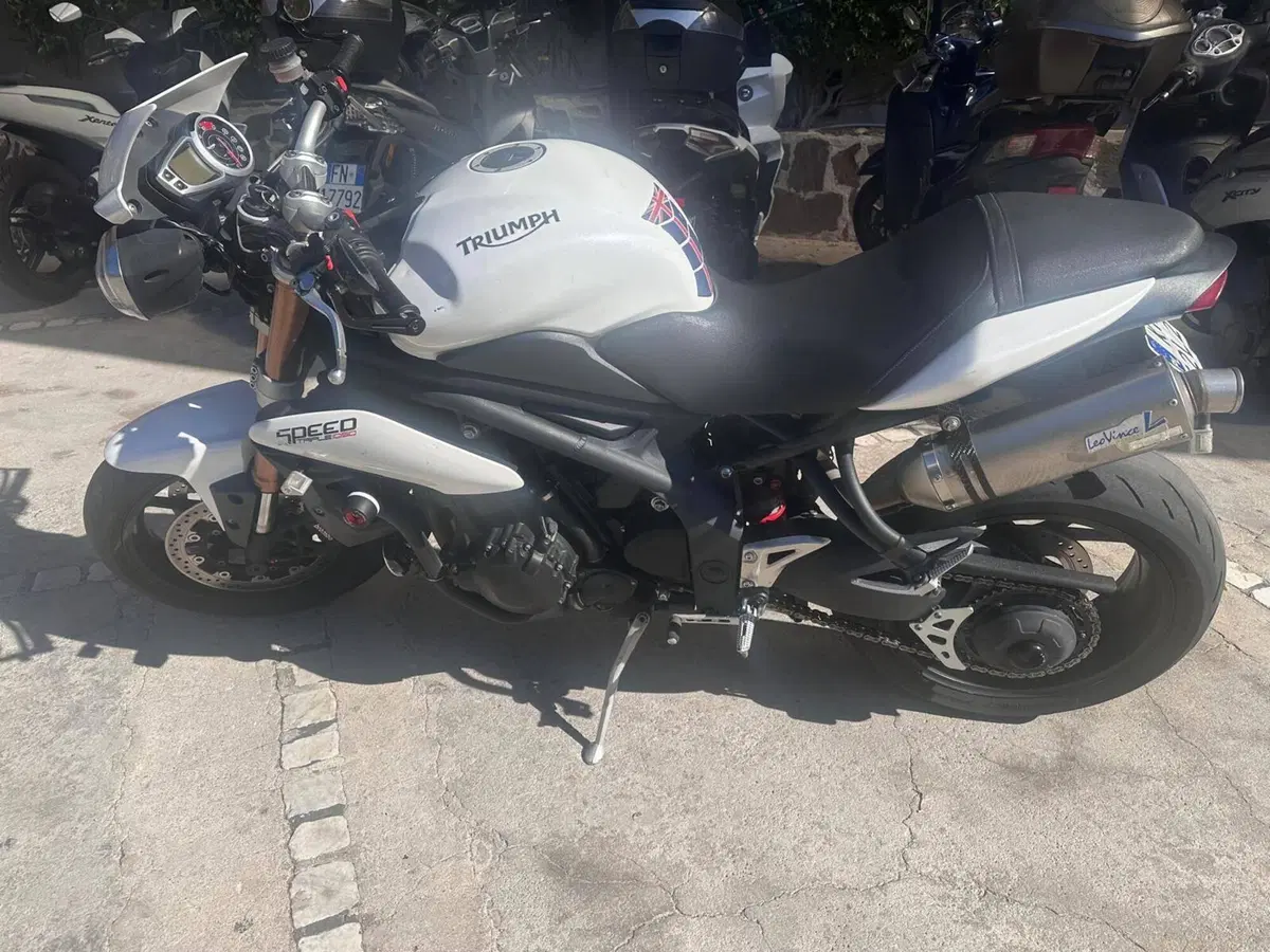 Triumph Speed Triple 1050 (2011 - 13) (2)