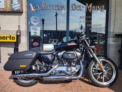 Harley-Davidson 1200 SuperLow (2014 - 16) - XL 1200T usata