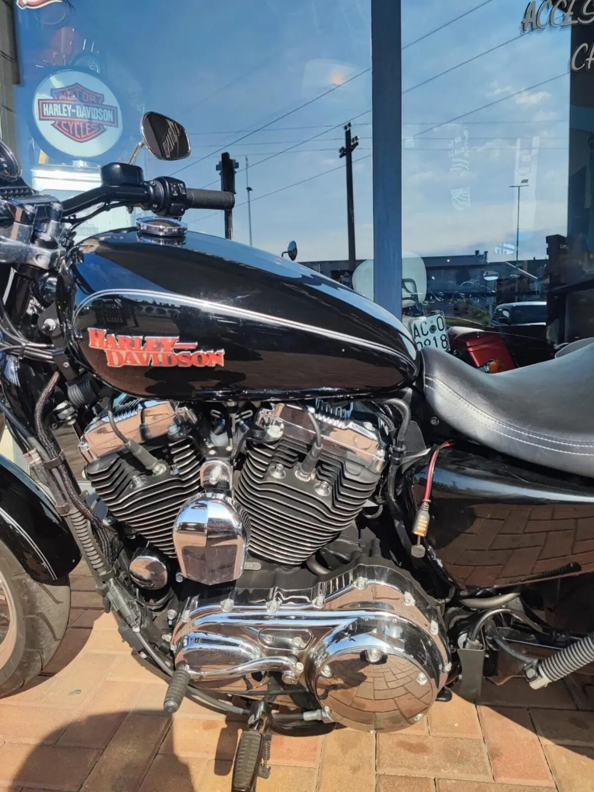 Harley-Davidson 1200 SuperLow (2014 - 16) - XL 1200T (3)