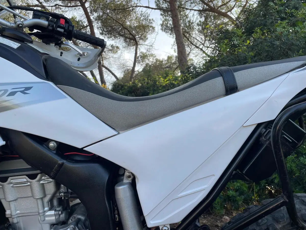 Yamaha WR 250 R (2008 - 13) (18)