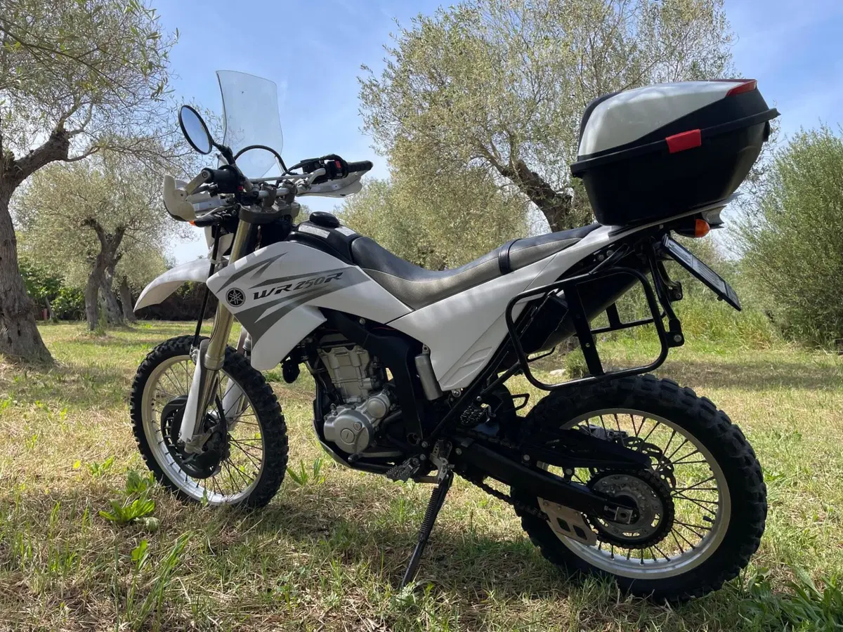 Yamaha WR 250 R (2008 - 13) (19)