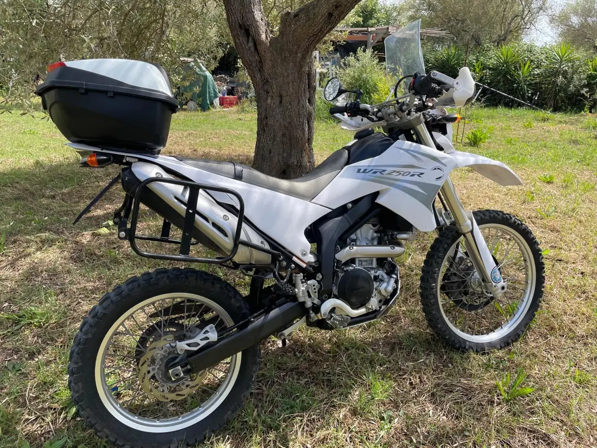 Yamaha WR 250 R (2008 - 13) (20)