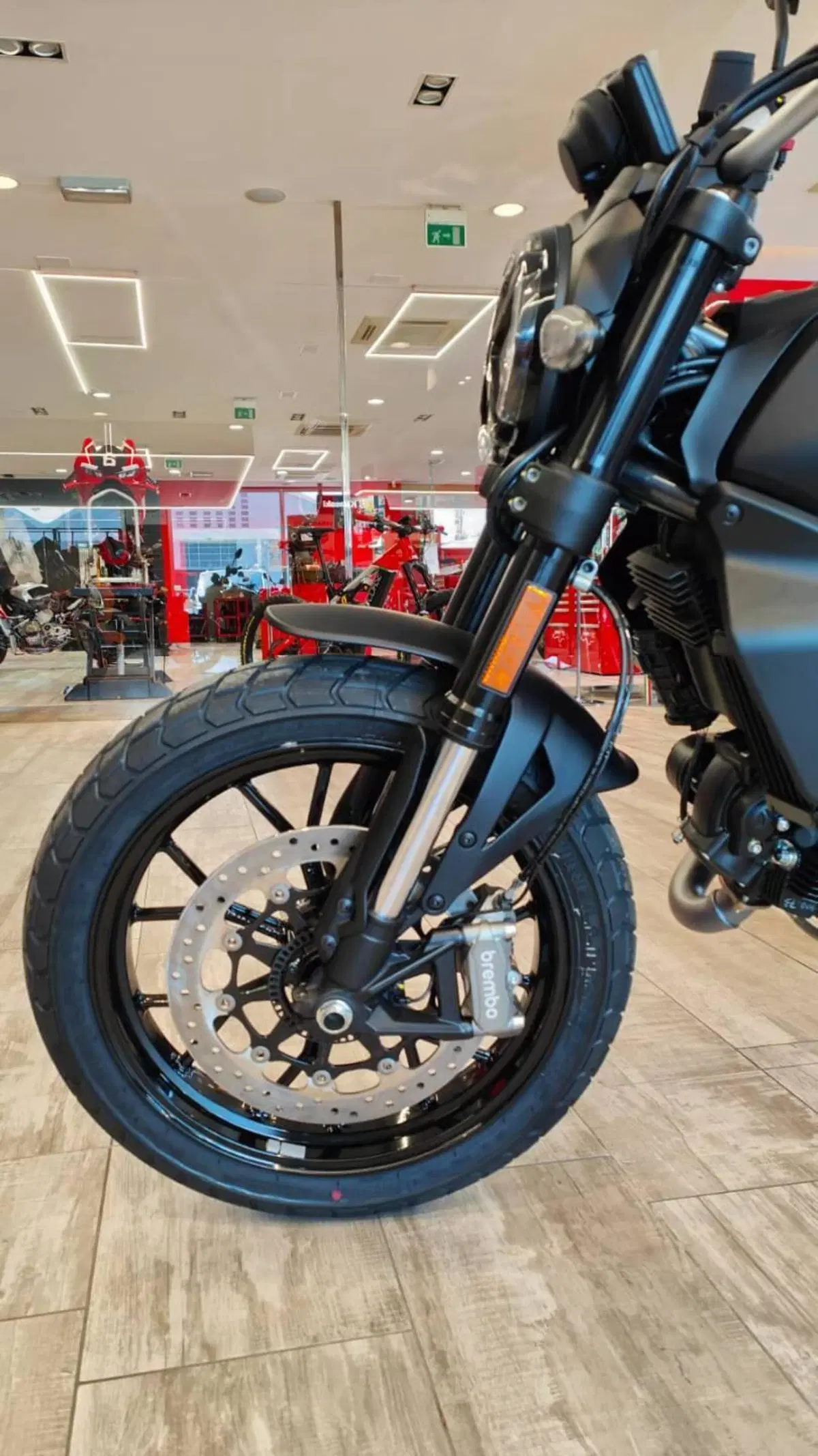 Ducati Scrambler 800 Icon (2023 - 24) (19)