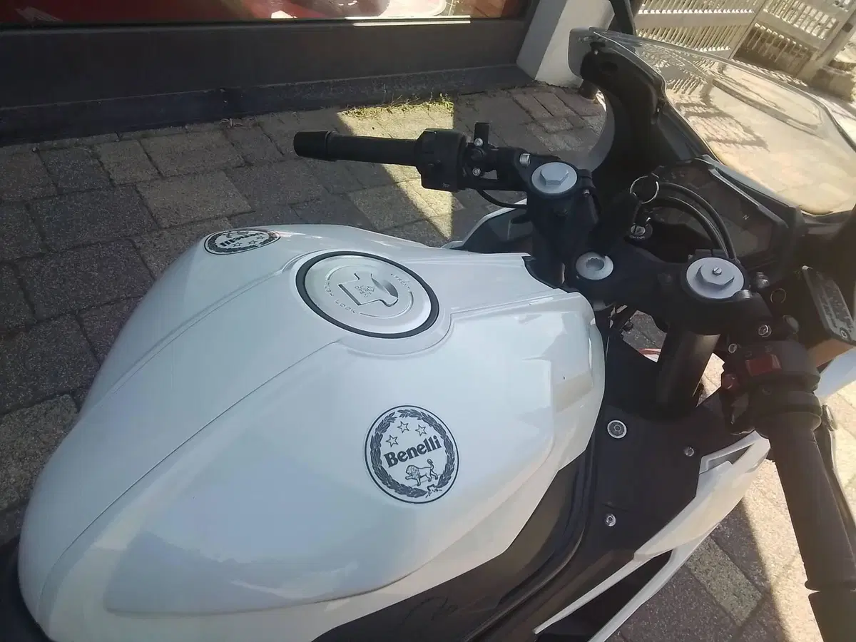 Benelli BN 302 R (2017 - 20) (7)